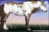 Horse Color:Liver Red Dun Frame 