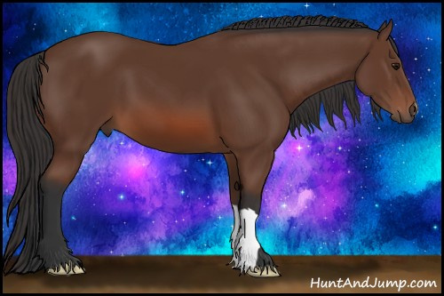 Horse Color: Bay 