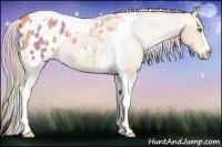 Horse Color:Nacre Silver Classic Champagne Tobiano Blanket 