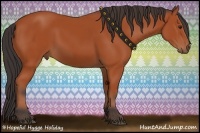 Horse Color:Bay Rabicano 