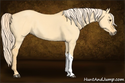 Horse Color:Palomino Dun 