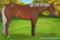 Horse Color:Silver Brown 