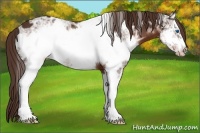 Horse Color:White Spotted Liver Chestnut Ice Frame 