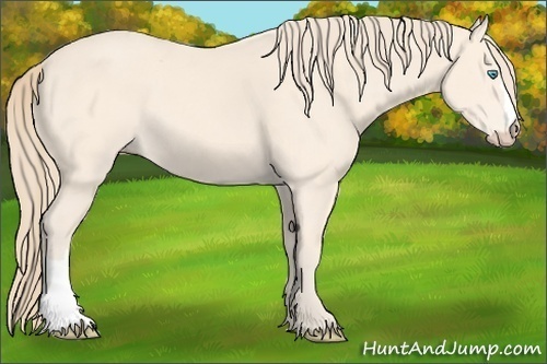 Horse Color: Perlino 
