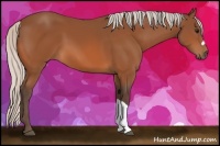 Horse Color:Silver Bay 