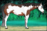 Horse Color:Brown Splash Frame 