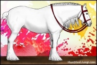 Horse Color:Gray Bay 
