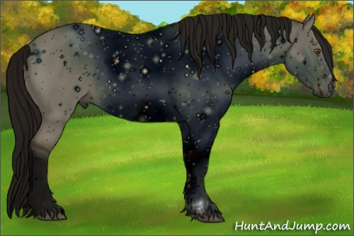 Horse Color: ERROR: UNKNOWN ANOMALY