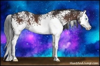 Horse Color:White Spotted Brown Splash 