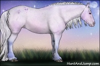 Horse Color:Watercolor Silver Buckskin Appaloosa 