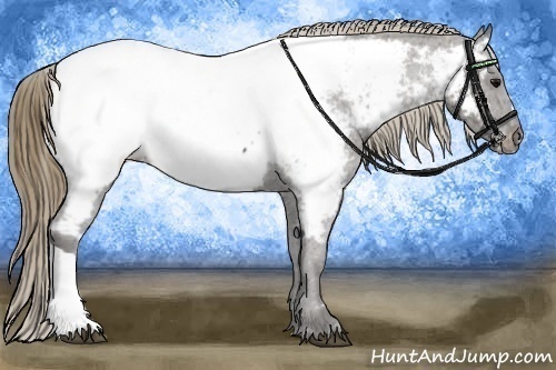Horse Color: Smoky Black Near Fewspot 