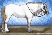 Horse Color:Smoky Black Appaloosa 