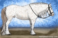 Horse Color:Buckskin Roan Snowflake Varnish