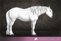 Horse Color:White Spotted Silver Brown Chinchilla Ice Tobiano 