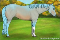 Horse Color:Watercolor Bay 