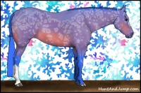 Horse Color:Watercolor Bay Ice 