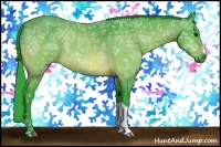 Horse Color:Watercolor Bay Ice 