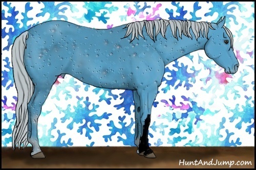 Horse Color: ERROR: UNKNOWN ANOMALY
