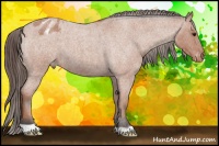 Horse Color:Bay Roan Varnish 