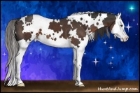 Horse Color:White Spotted Liver Chestnut Splash 