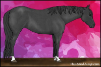 Horse Color:Blue Roan 