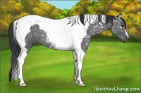 Horse Color:Black Ice Tobiano 