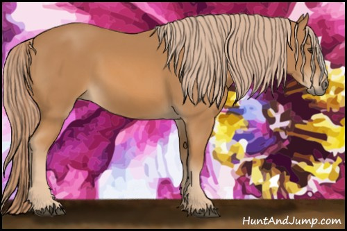 Horse Color: Chestnut 