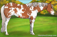 Horse Color:White Spotted Silver Brown Sabino 