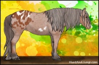 Horse Color:Bay Frame Blanket 