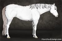 Horse Color:White Spotted Silver Brown 