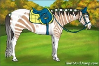 Horse Color:Bay Dun Splash Tobiano 