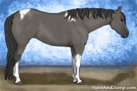 Horse Color:Grullo Tobiano