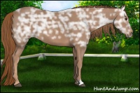 Horse Color:Chestnut Ice 