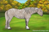 Horse Color:Silver Grullo Ice Tobiano 