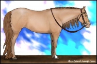 Horse Color:Brown Pearl 