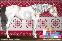 Horse Color:White Spotted Bay Rabicano 