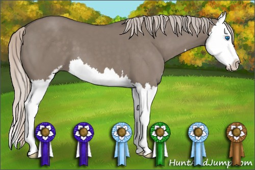 Horse Color: Silver Grullo Sabino Splash 