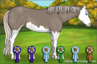 Horse Color:Silver Grullo Sabino Splash 