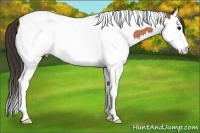 Horse Color:Bay Splash Tobiano Varnish 