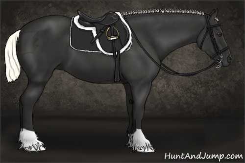 Horse Color: Liver Chestnut 