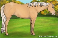 Horse Color:Silver Sable Cream Champagne 