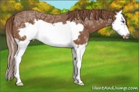Horse Color:Chestnut Ice Splash Frame 