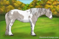 Horse Color:Silver Grullo Ice Tobiano Frame 