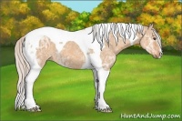 Horse Color:Silver Bay Ice Dun Tobiano 