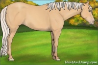 Horse Color:Silver Sable Cream Champagne 