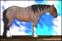 Horse Color:Bay Roan Tobiano 