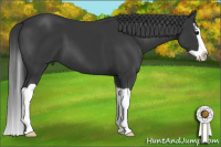 Horse Color:Brown Splash