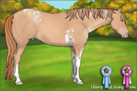 Horse Color:White Spotted Gold Champagne Tobiano 