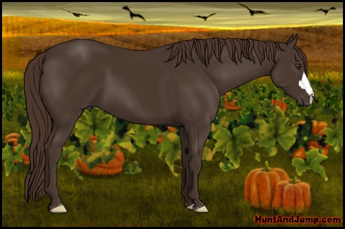 Horse Color: Liver Chestnut 