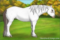 Horse Color:White Spotted Liver Red Roan Frame Varnish 
